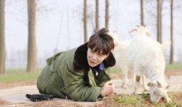 爆料放羊完整视频,震撼视频曝光，带你领略草原牧歌之美